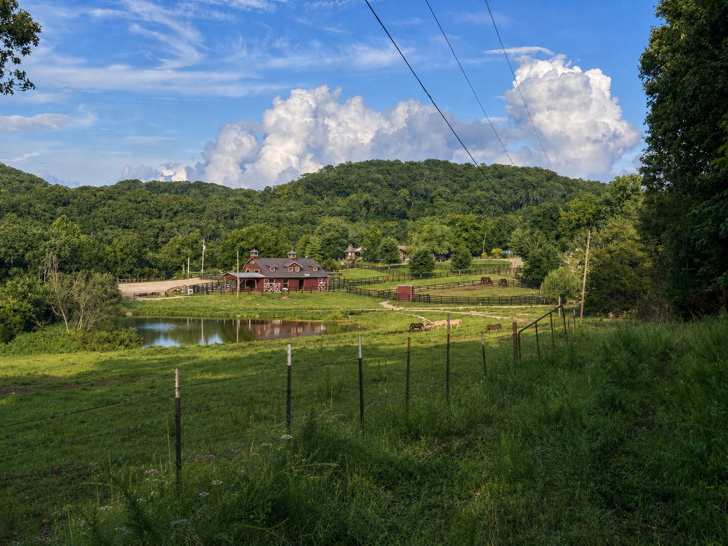 Twin Willows Ranch overview